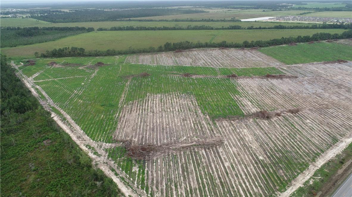Clyde Dulaney Rd Lake Lake Charles, LA 70611 - Photo 3 of 6