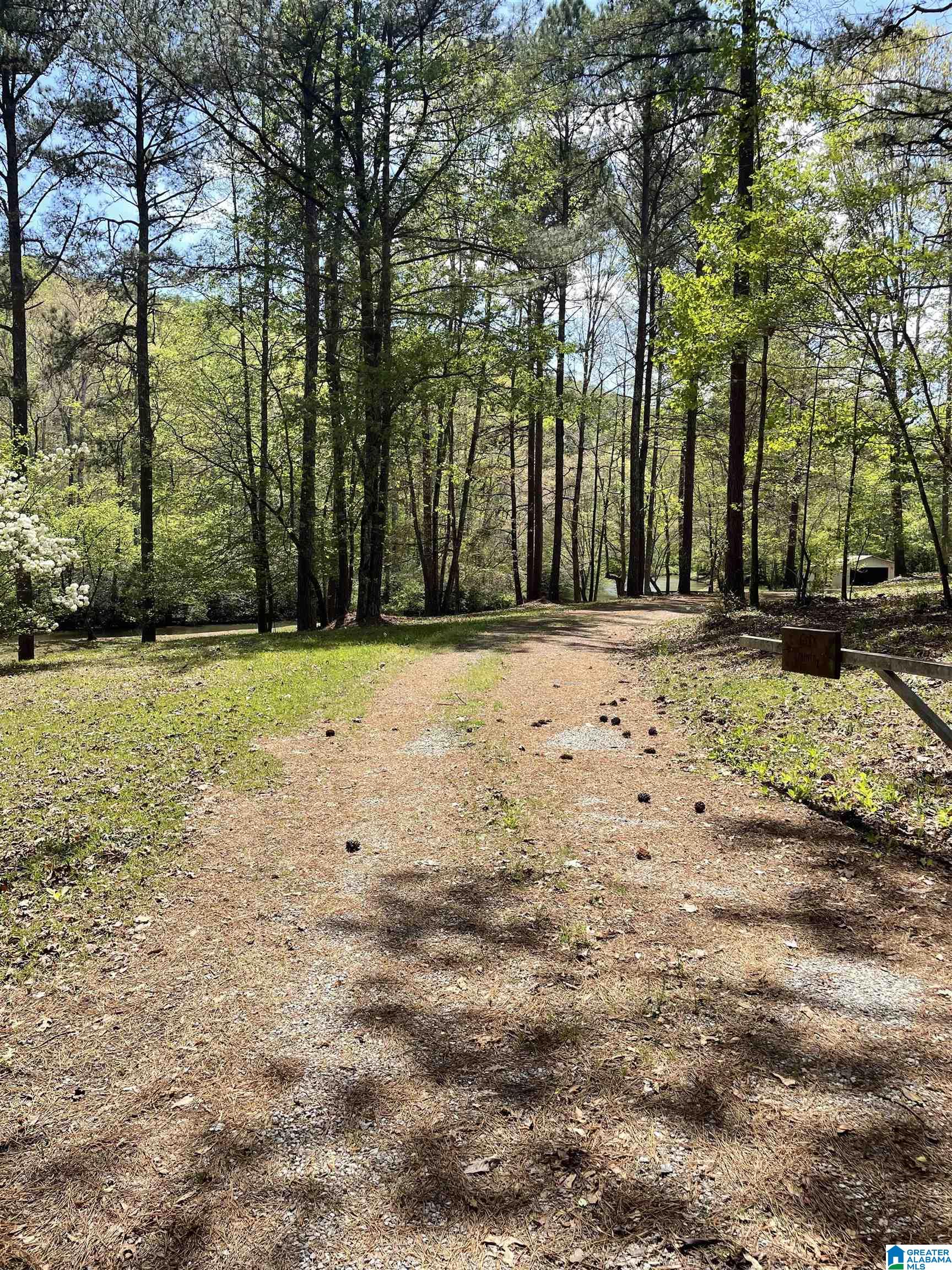 410 Waldrop Road Ashville, AL 35953 - Photo 2 of 15