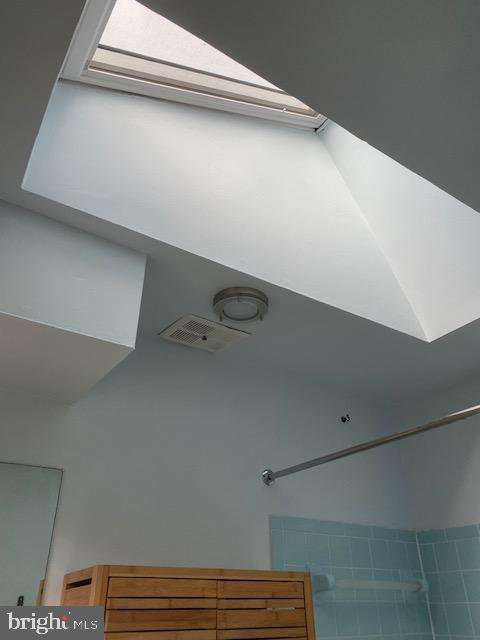 6348 Red Haven Road Columbia, MD 21045 - Photo 19 of 28 Primary bathroom sky light