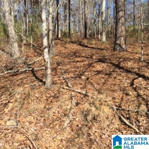 338 Davis Acres Drive, Unit 1 Alpine, AL 35014 - Photo 2 of 19