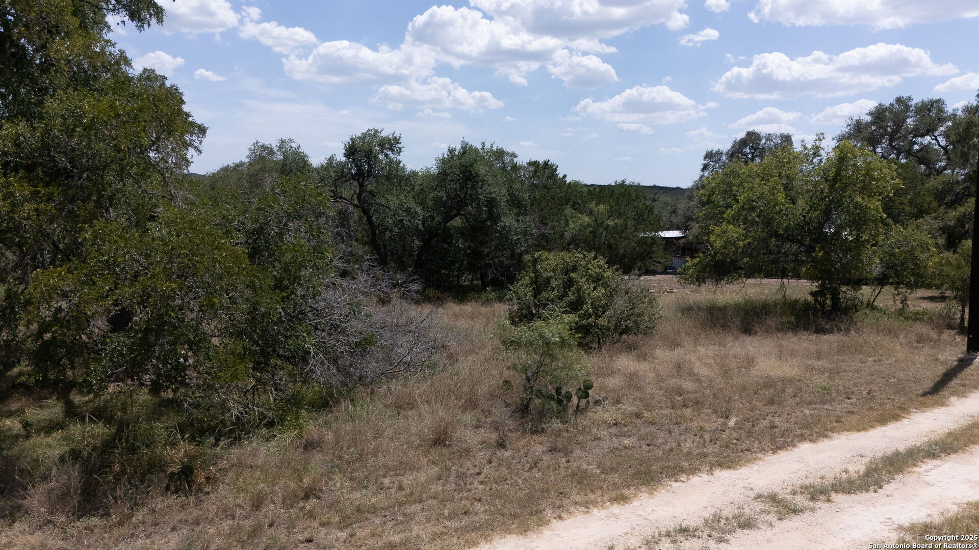 268 Recreation Spring Branch Spring Branch, TX 78070 - Photo 11 of 13 a view of a covered with trees