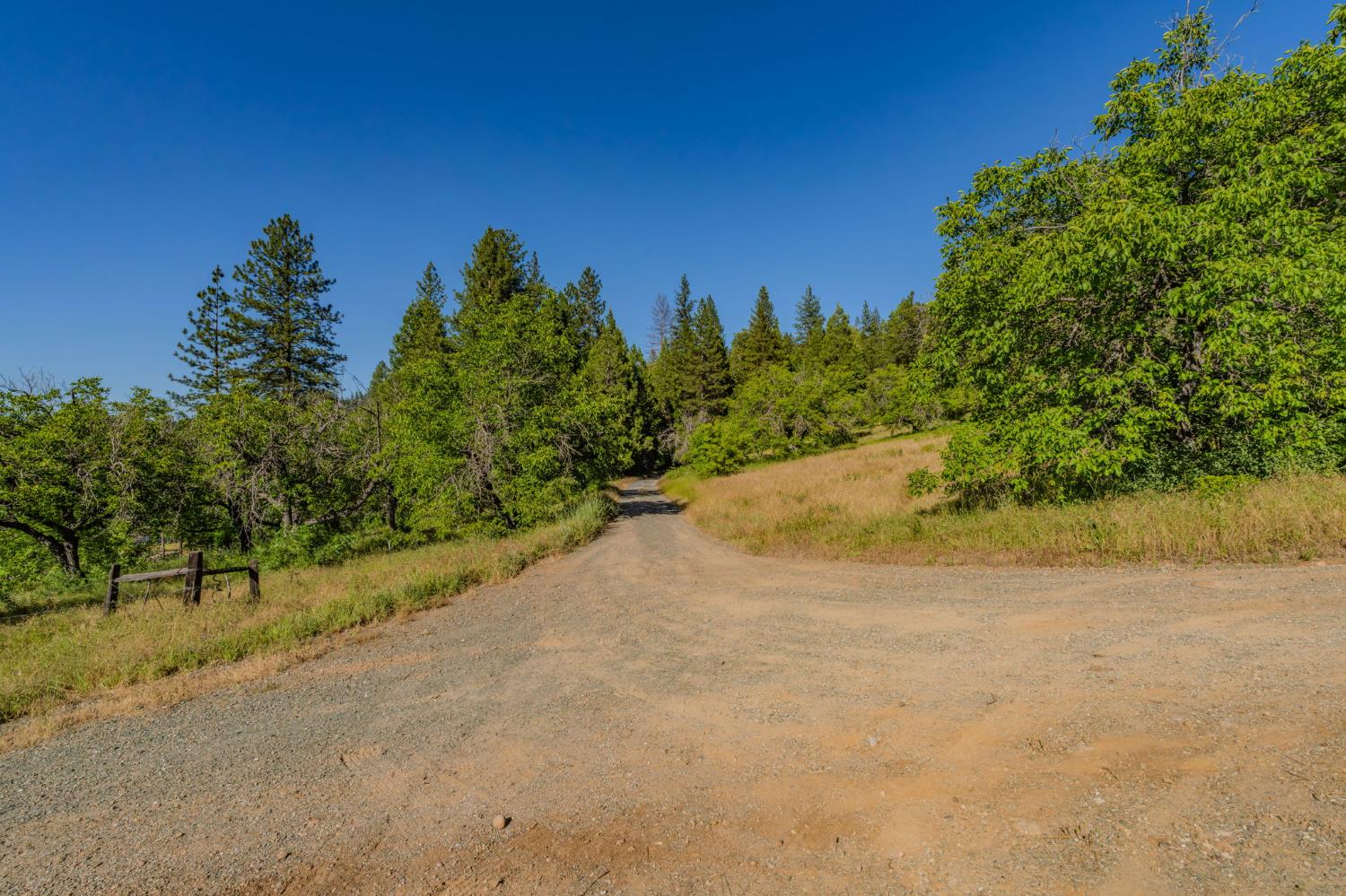 0 Schaefer Ranch Road Pioneer, CA 95666 - Photo 60 of 72