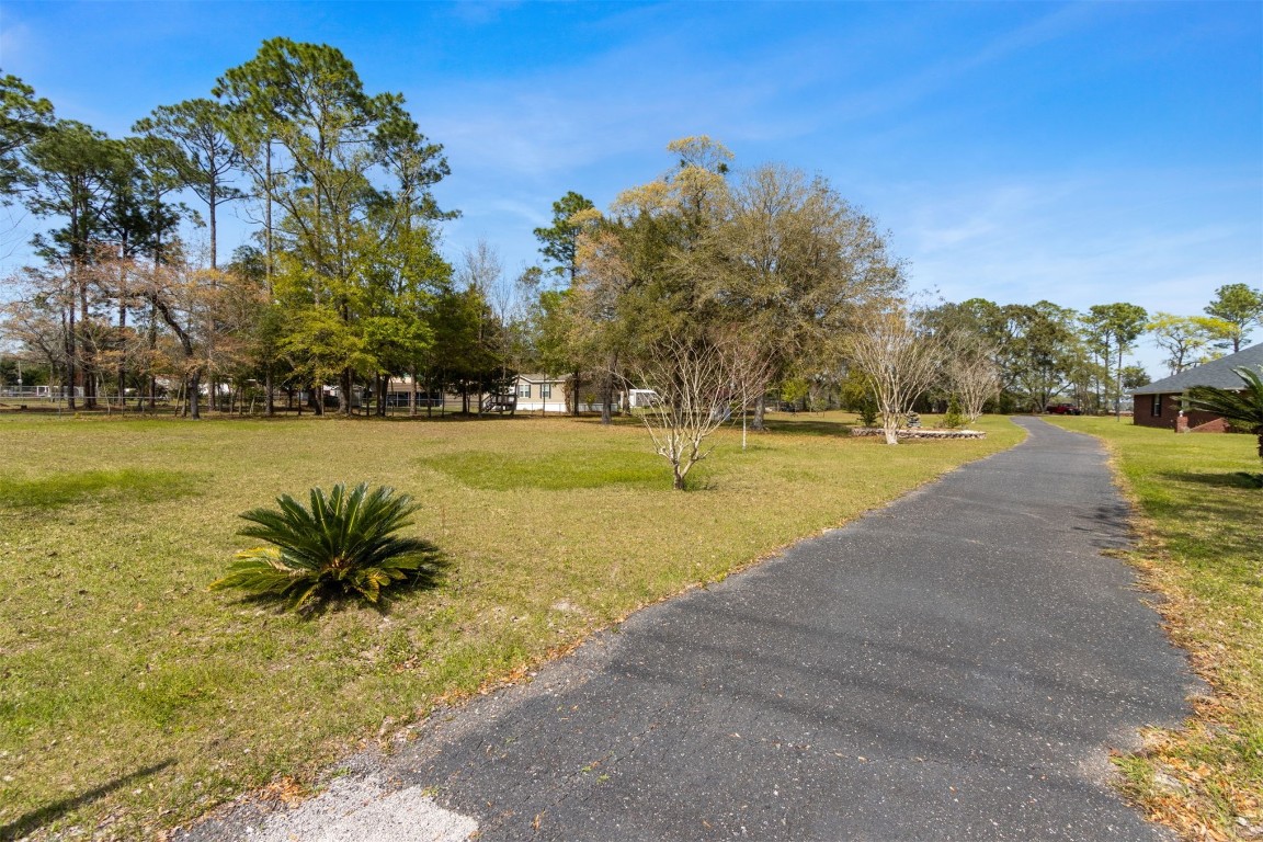 85166 Blackmon Road Yulee, FL 32097 - Photo 18 of 26 a view of a swimming pool and trees in the background
