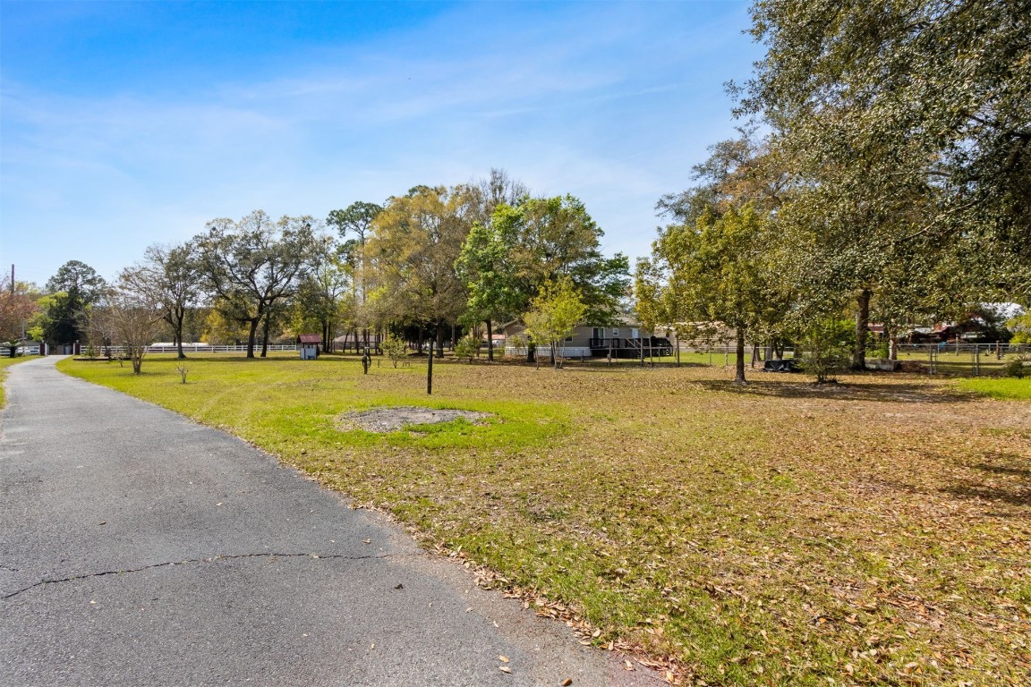 85166 Blackmon Road Yulee, FL 32097 - Photo 21 of 26 a view of yard with swimming pool