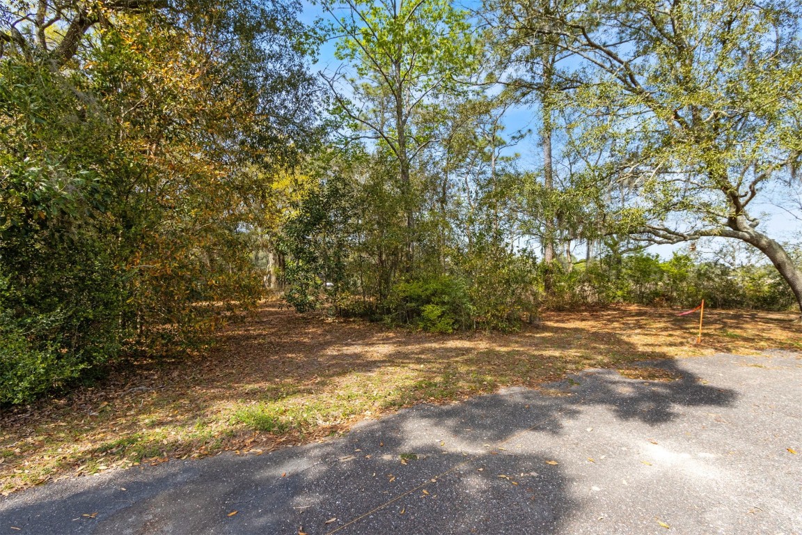 85166 Blackmon Road Yulee, FL 32097 - Photo 22 of 26 a view of a yard with a tree