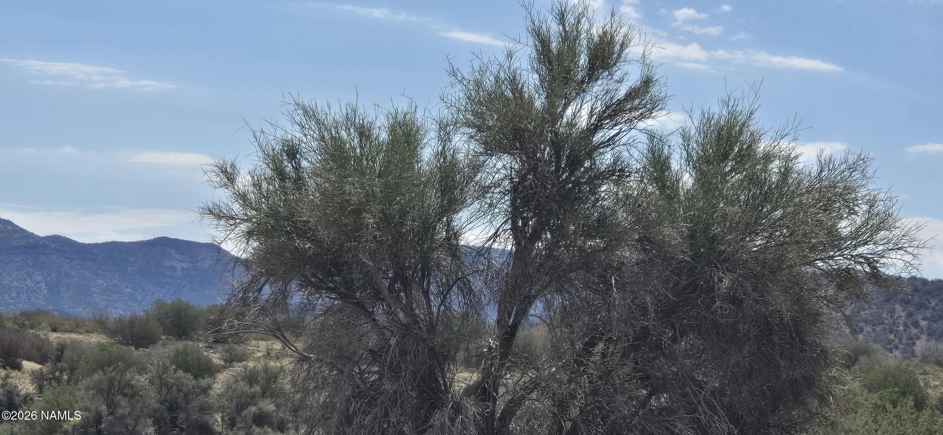 3500 Native Trail Rimrock, AZ 86335 - Photo 3 of 4 1000011486