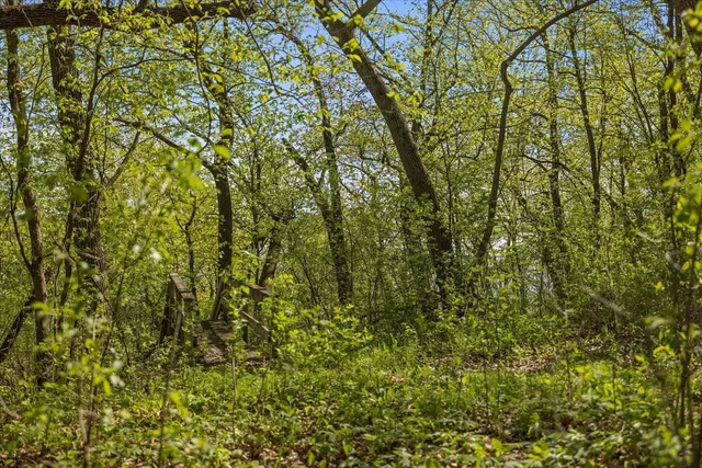 $439,900 | 24325 180th Street, Paynesville, MN 56362