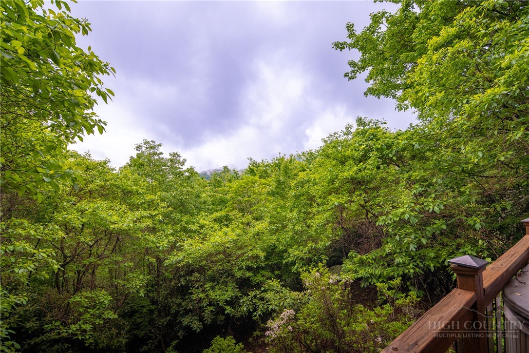 280 Chinkapin Ridge Road Seven Devils, NC 28604 - Photo 32 of 40 a backyard of a house with lots of green space