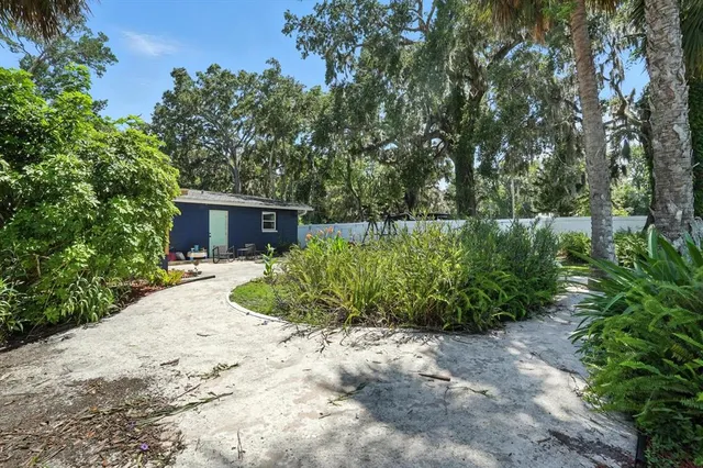 a view of a yard with plants and trees