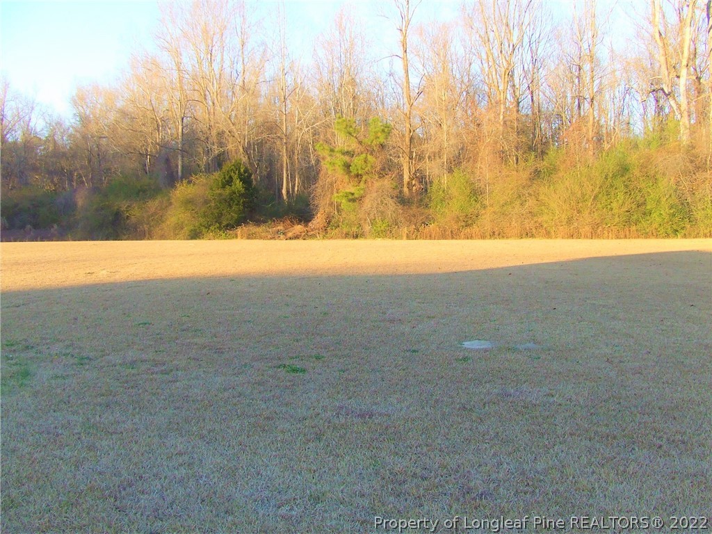 465 Clark Road Lillington, NC 27546 - Photo 3 of 39 Gallery Image 3