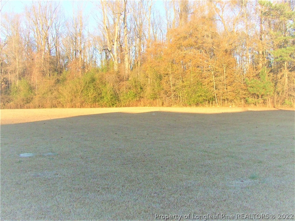 465 Clark Road Lillington, NC 27546 - Photo 39 of 39 Gallery Image 39