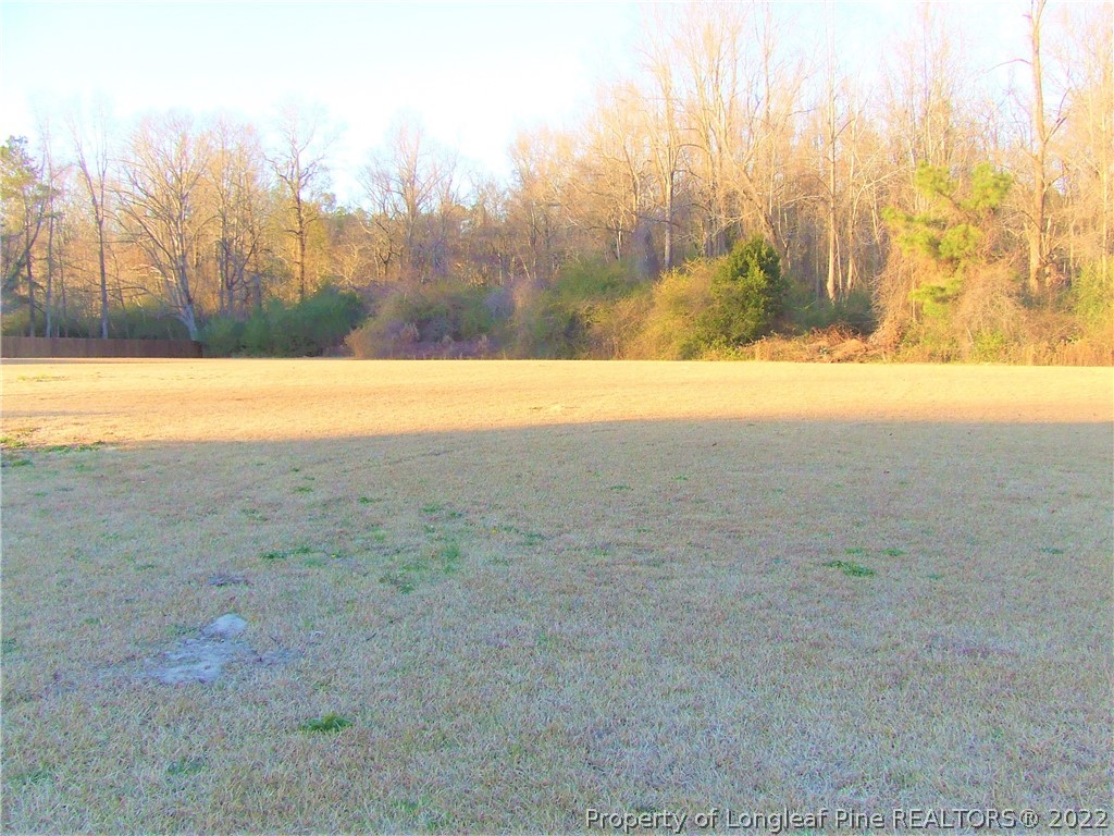 465 Clark Road Lillington, NC 27546 - Photo 4 of 39 Gallery Image 4