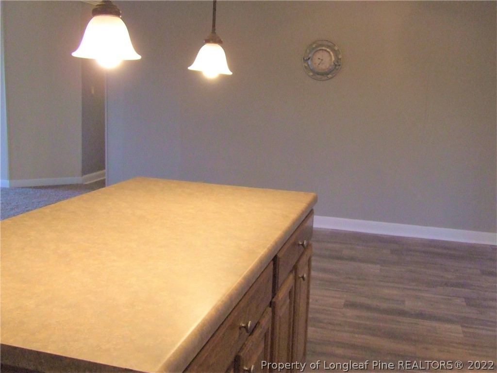 465 Clark Road Lillington, NC 27546 - Photo 9 of 39 Gallery Image 9
