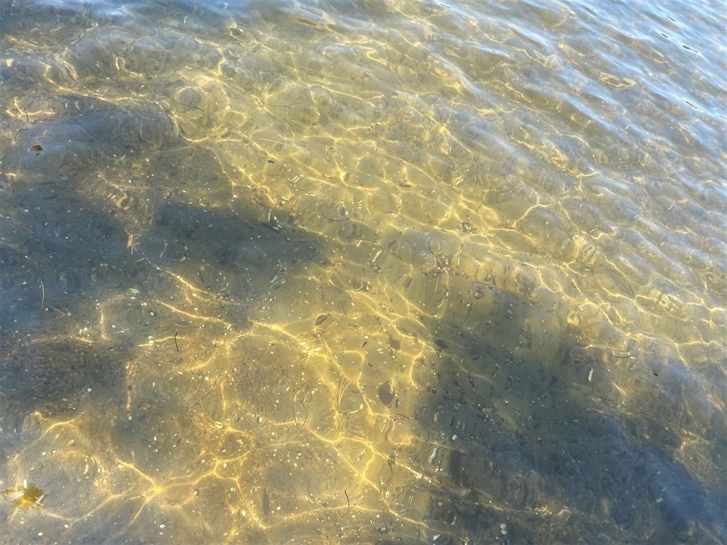300 Killdeer Road Webster, MA 01570 - Photo 4 of 42 a bathroom with a shower