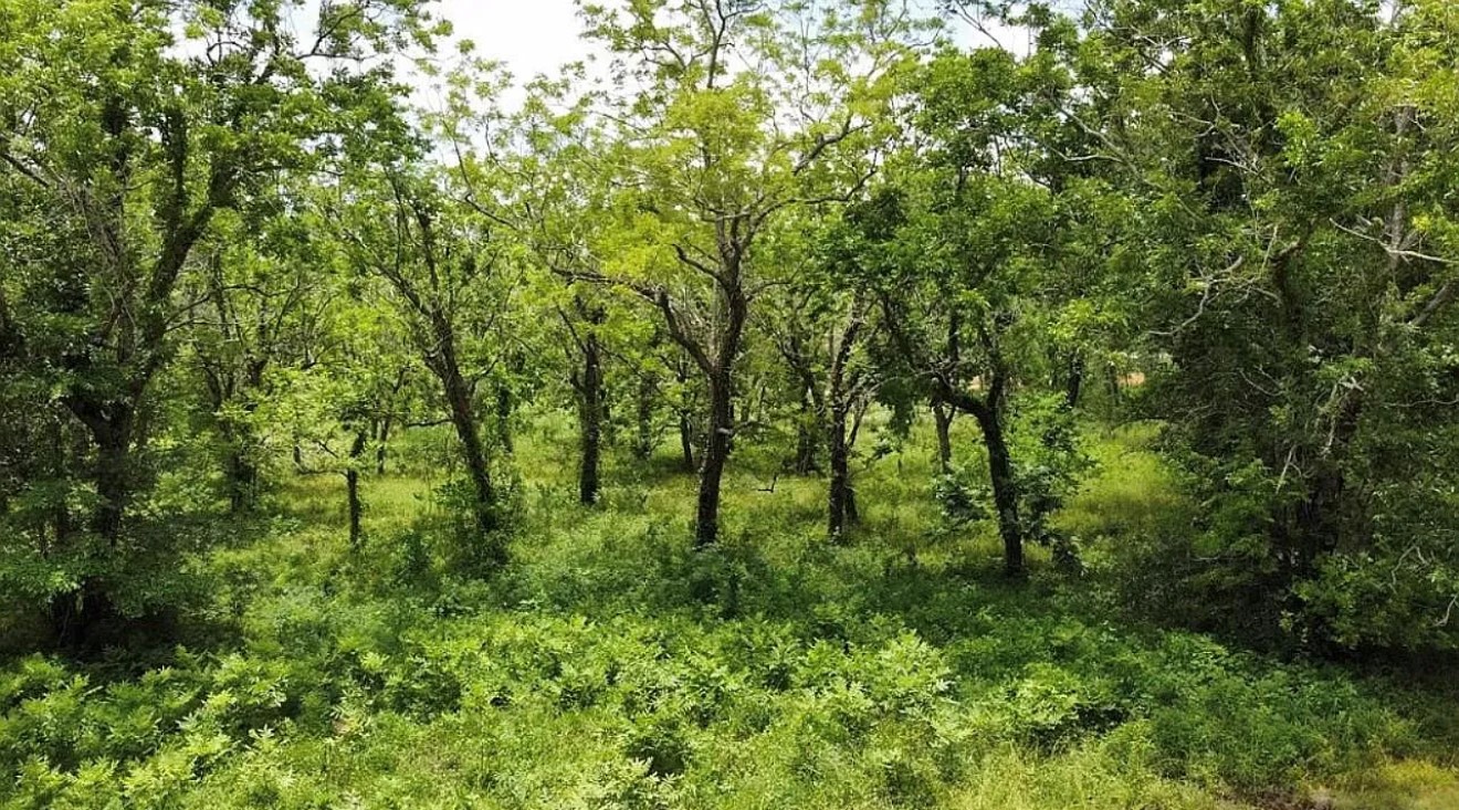 0 County Road 36 Angleton, TX 77515 - Photo 5 of 6