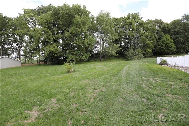 8632 Stephenson Road Onsted, MI 49265 - Photo 4 of 38