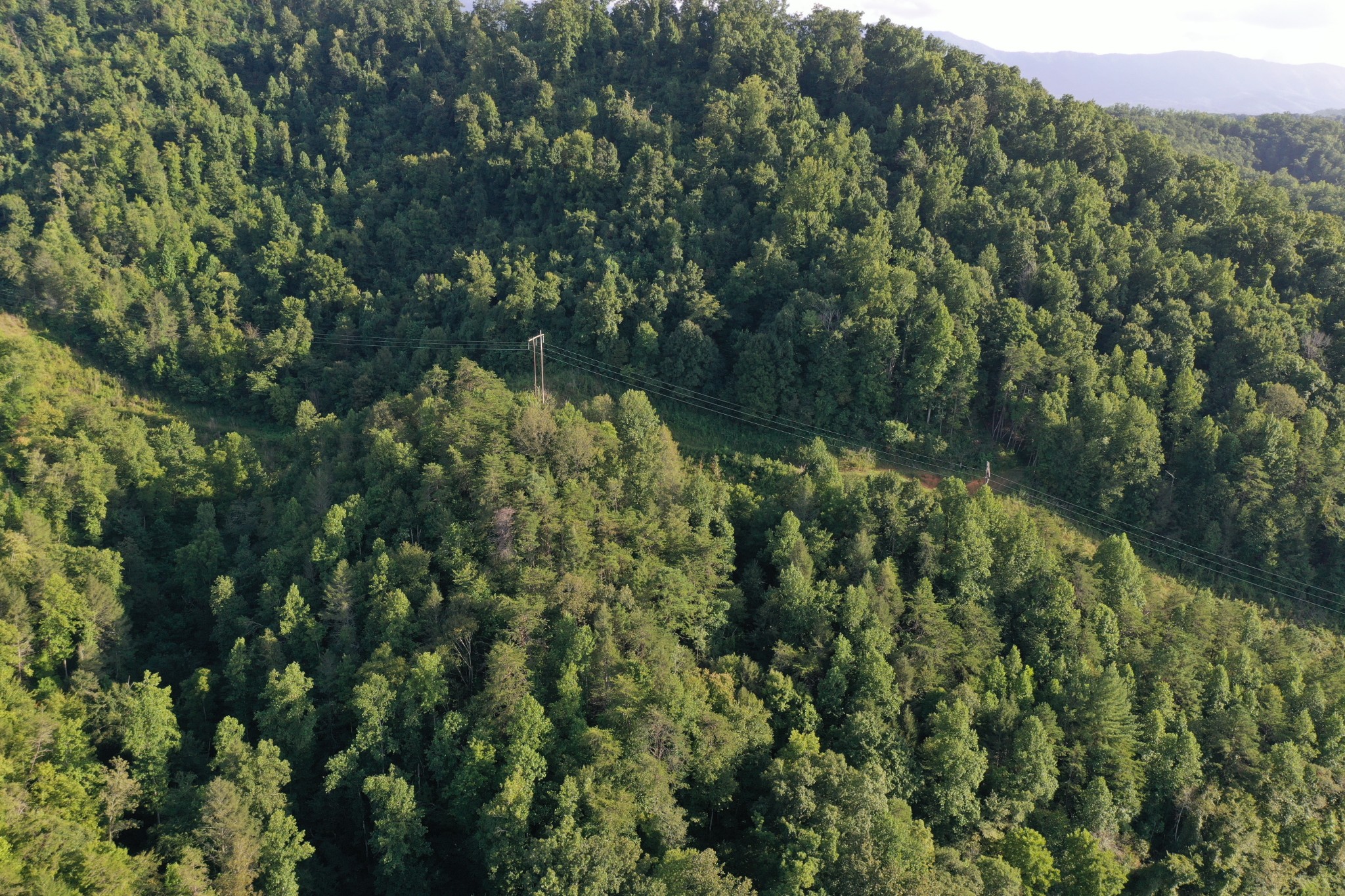 0 Jones Cove Road Cosby, TN 37722 - Photo 2 of 12