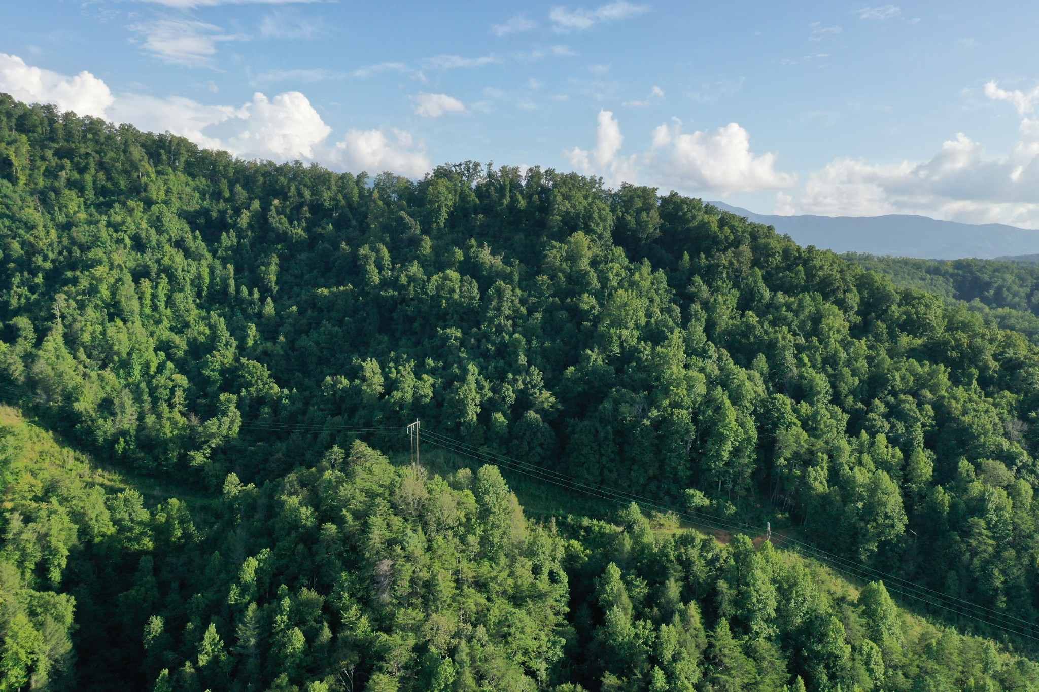 0 Jones Cove Road Cosby, TN 37722 - Photo 3 of 12