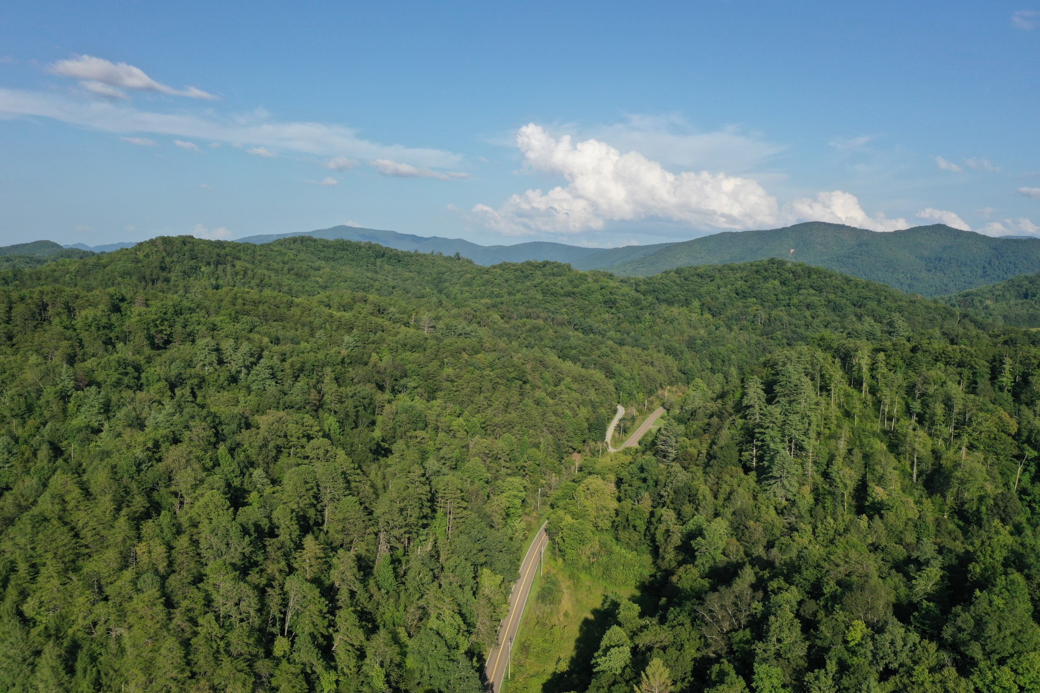 0 Jones Cove Road Cosby, TN 37722 - Photo 4 of 12