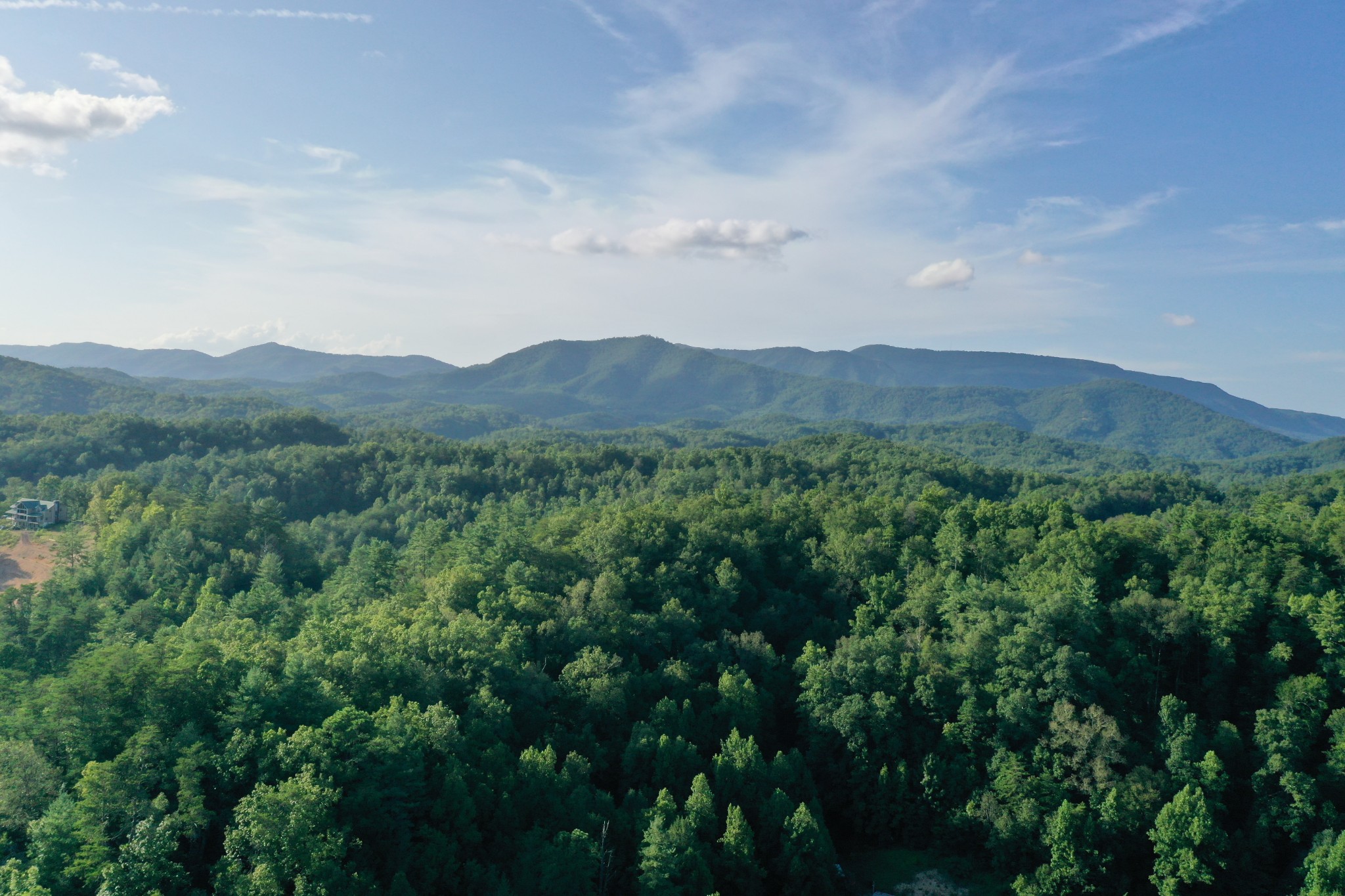0 Jones Cove Road Cosby, TN 37722 - Photo 5 of 12