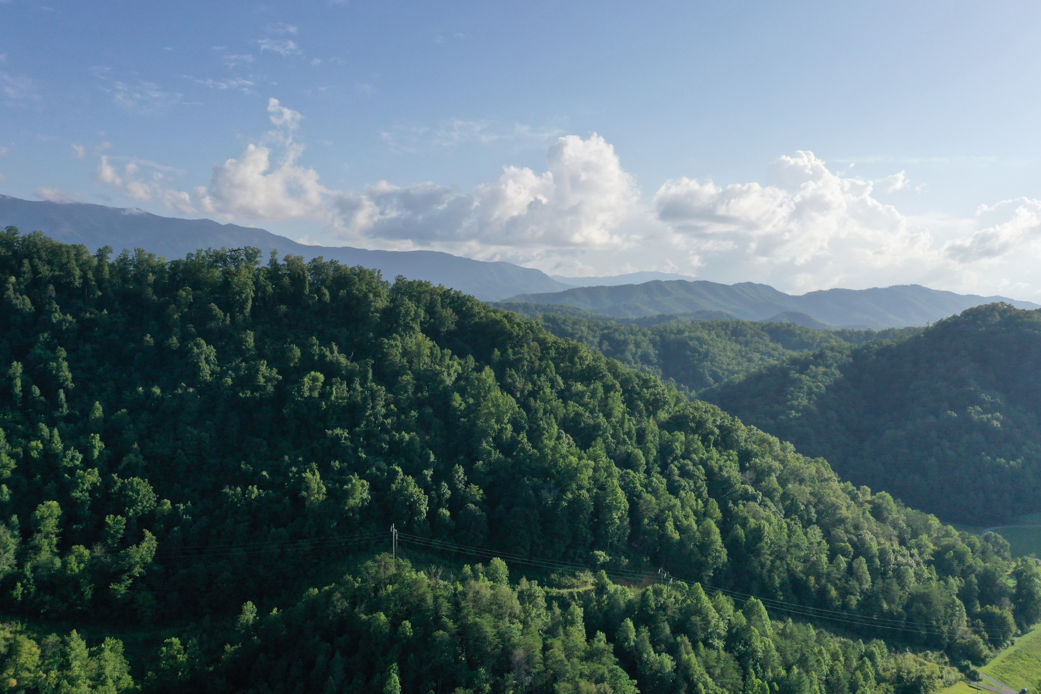 0 Jones Cove Road Cosby, TN 37722 - Photo 7 of 12