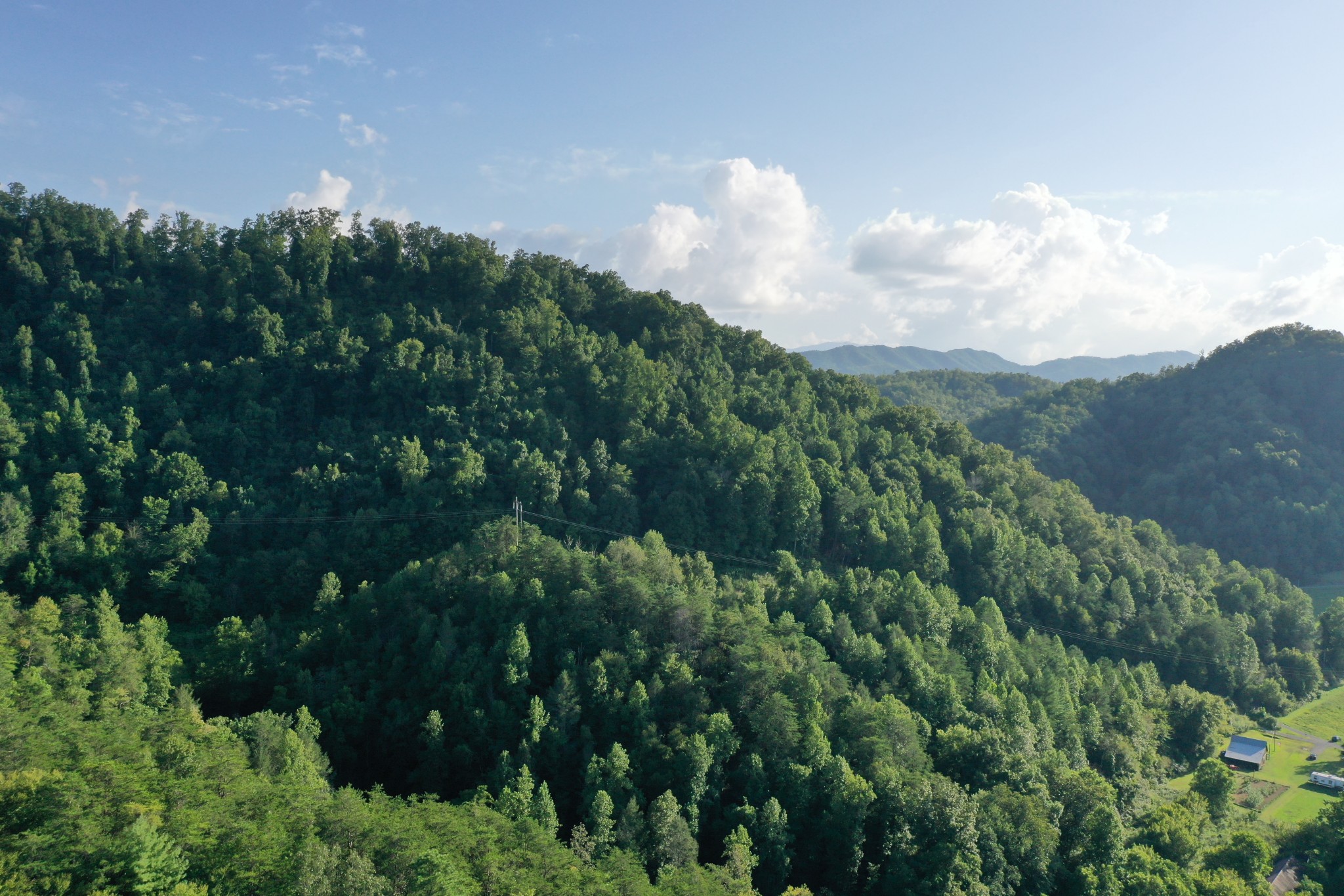 0 Jones Cove Road Cosby, TN 37722 - Photo 8 of 12