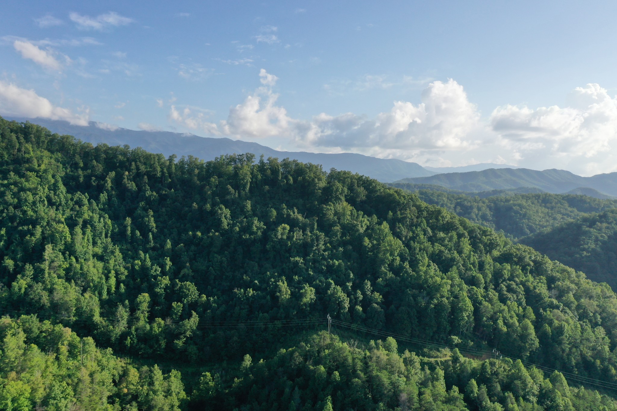 0 Jones Cove Road Cosby, TN 37722 - Photo 10 of 12