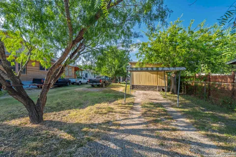 a backyard of a house with plants and large tree