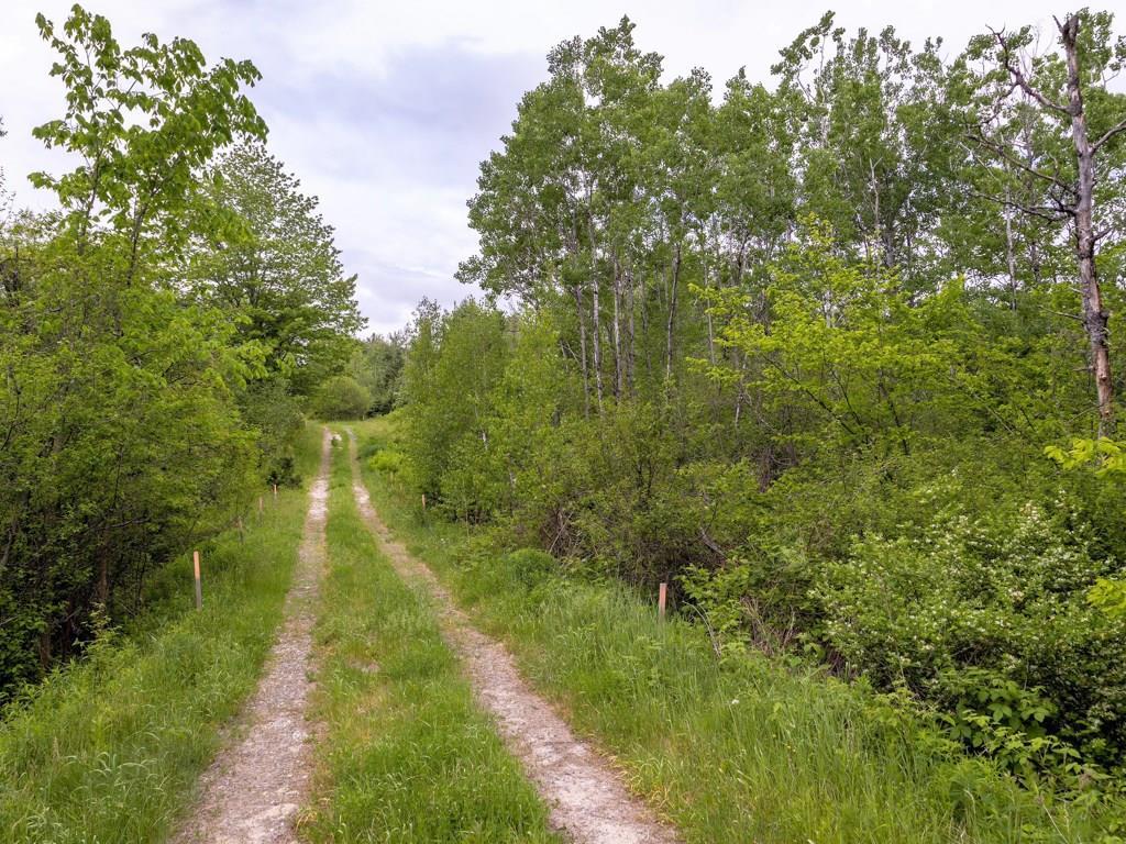 239 Tuttle Road Cumberland Center, ME 04021 - Photo 16 of 28 Photo