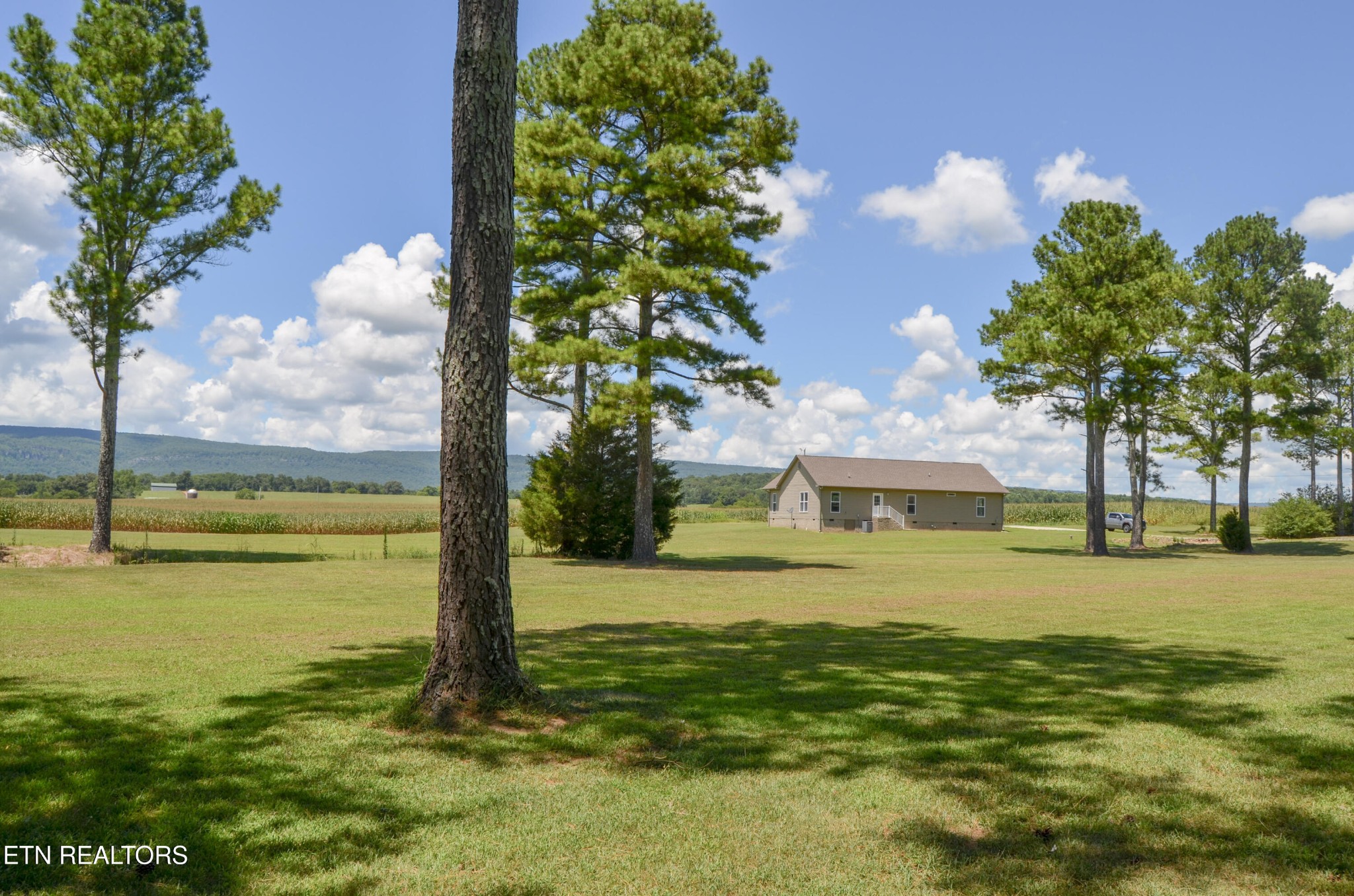 241 Terry Road Pikeville, TN 37367 - Photo 39 of 47