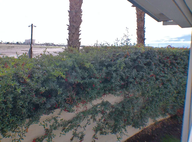 a view of a city with lush green forest