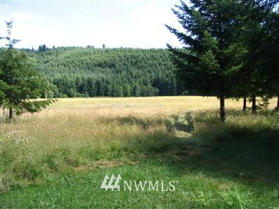 1246 King Road Winlock, WA 98596 - Photo 1 of 1