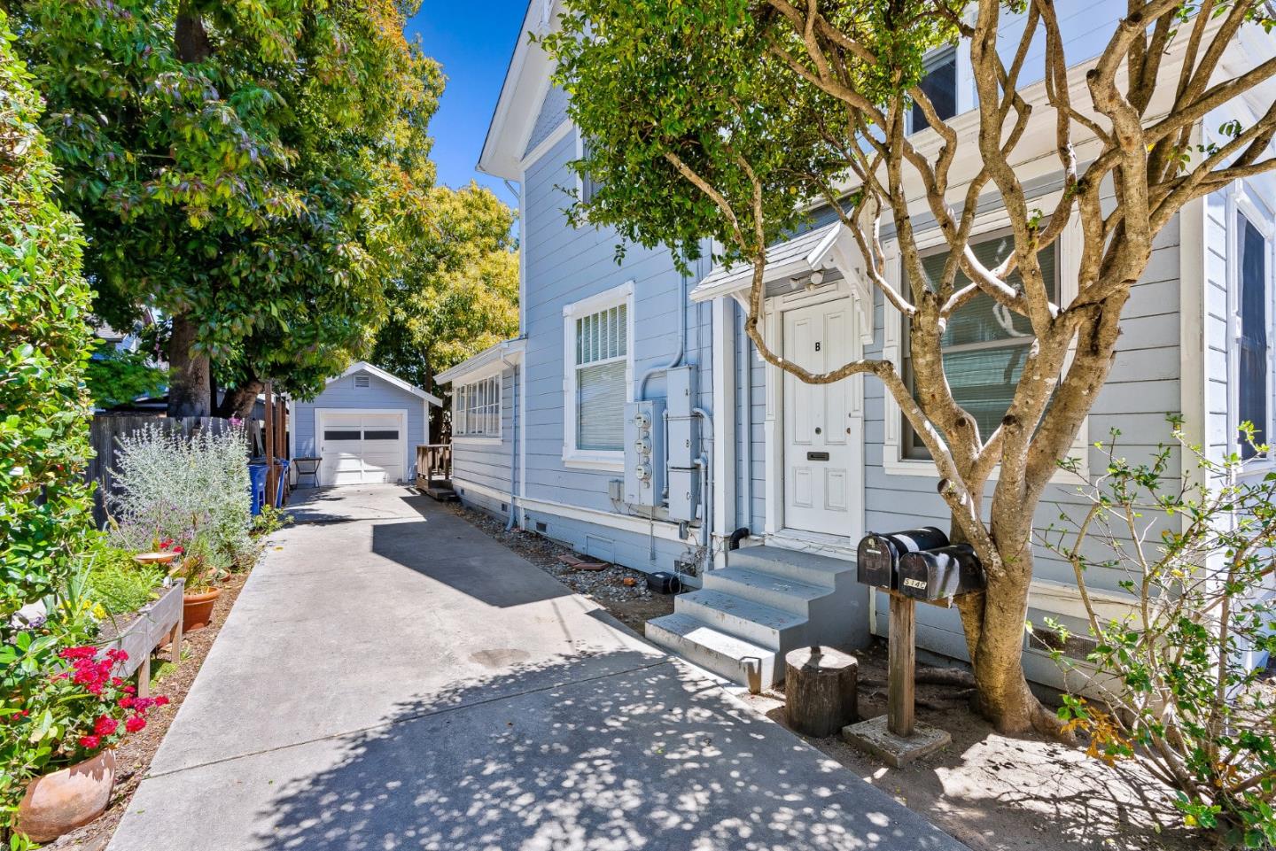 514 Washington Street Santa Cruz, CA 95060 - Photo 4 of 25 a tree in front of a house