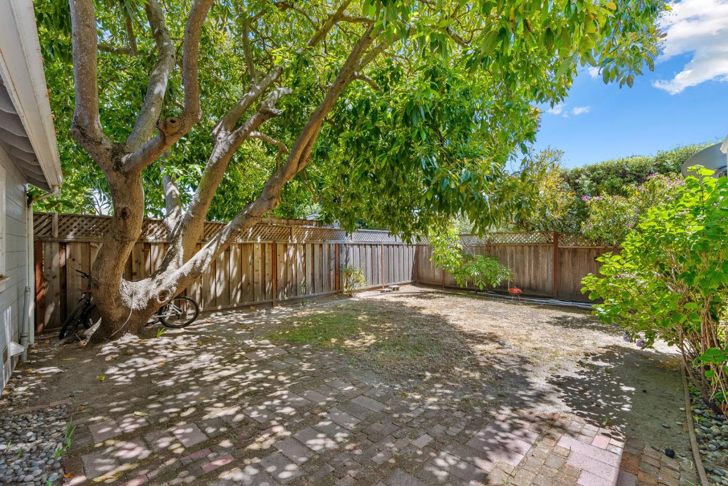 514 Washington Street Santa Cruz, CA 95060 - Photo 7 of 25 a view of a backyard with a tree