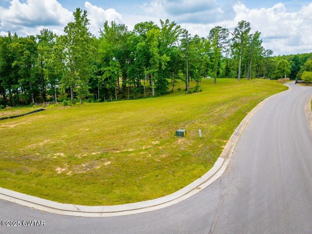 0 Southern Shr Point Huntingdon, TN 38344 - Photo 6 of 8 a view of an ocean from a pool