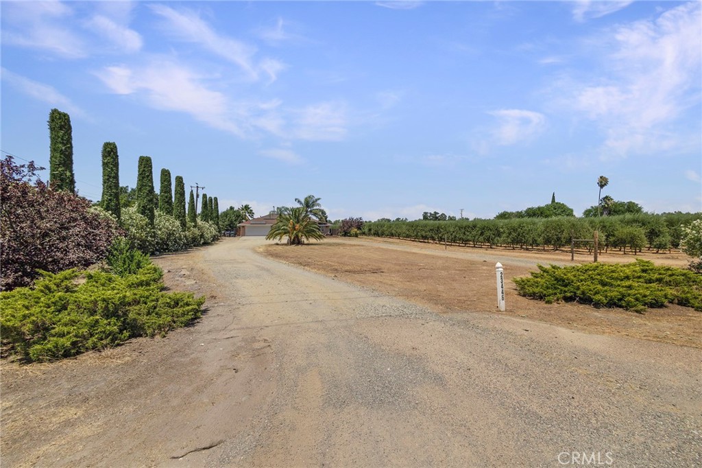 23446 Capay Road Corning, CA 96021 - Photo 4 of 64 a view of a lake with a big yard and large trees