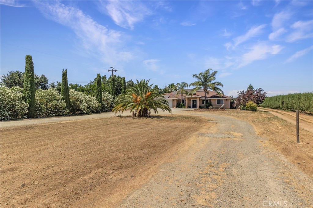 23446 Capay Road Corning, CA 96021 - Photo 5 of 64