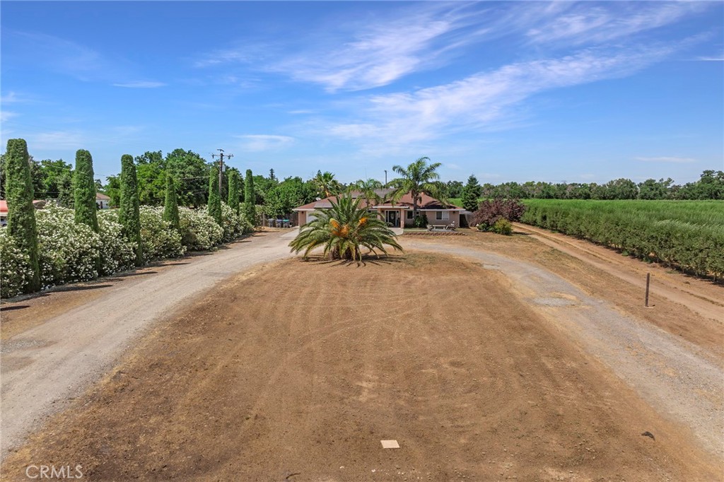 23446 Capay Road Corning, CA 96021 - Photo 51 of 64 a view of a garden with an outdoor space
