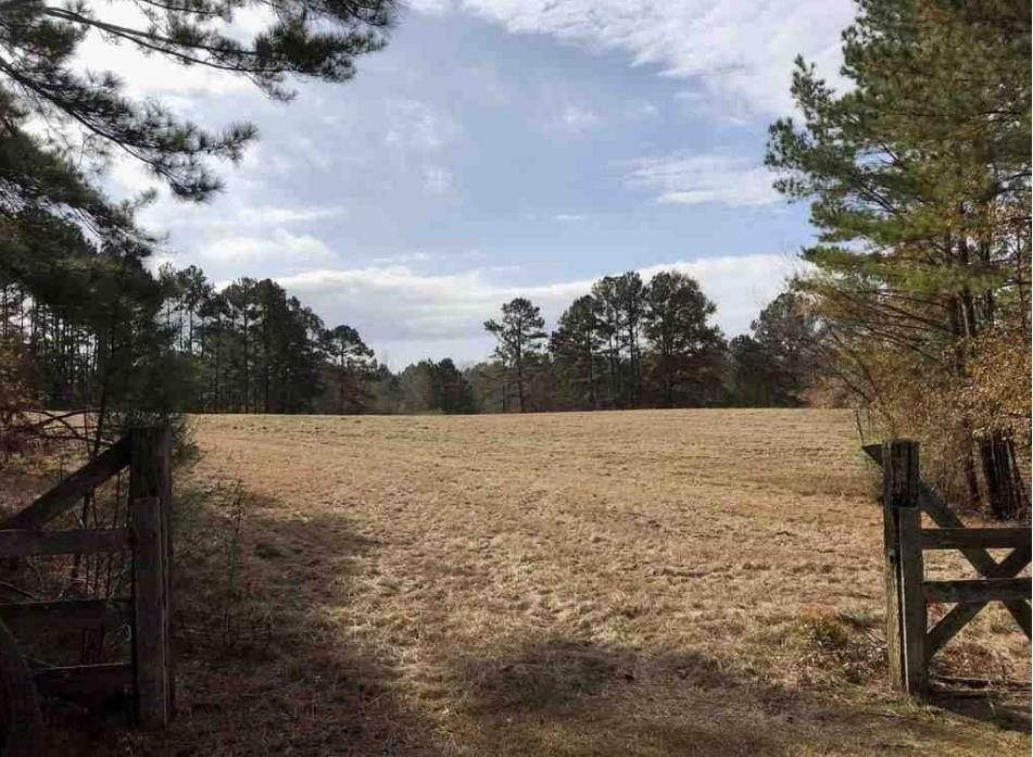 397 Salers Road Carthage, MS 39051 - Photo 23 of 24 Photo 23
