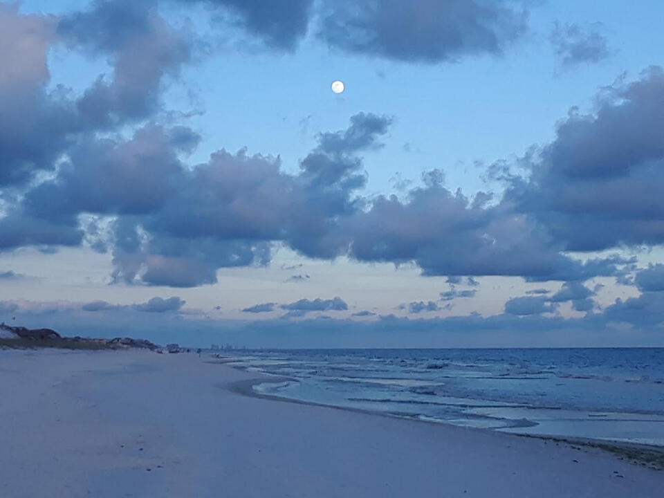 350 Beachfront Trail, Unit 3 Santa Rosa Beach, FL 32459 - Photo 20 of 20 Gallery Image 20