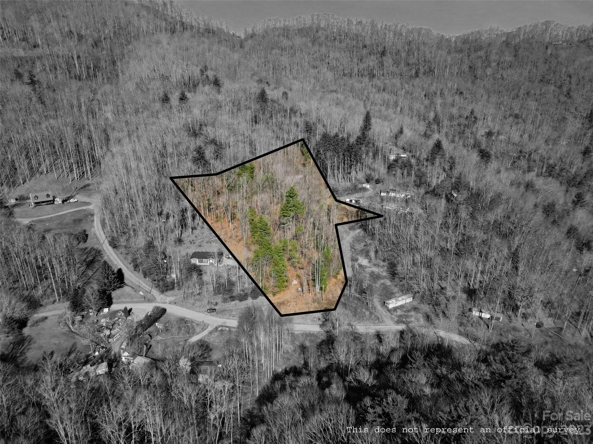 0 Dean Riddle Drive Waynesville, NC 28785 - Photo 2 of 4