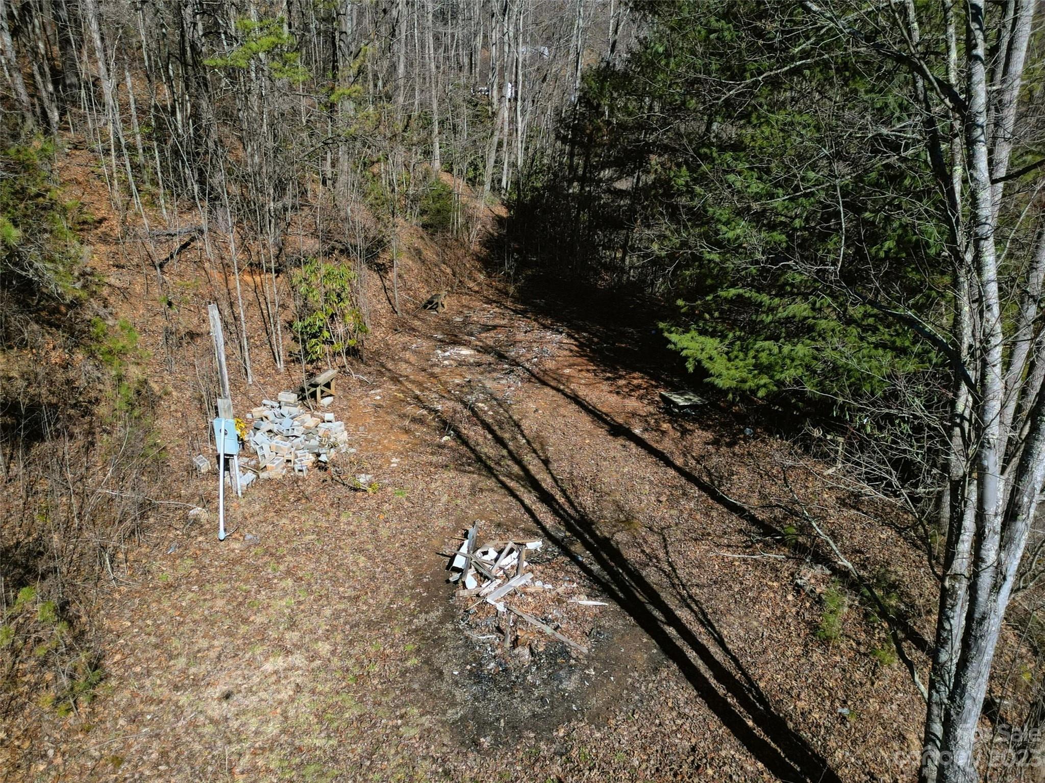 0 Dean Riddle Drive Waynesville, NC 28785 - Photo 3 of 4 a view of a yard with trees