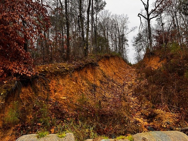 0 Talona Road Ellijay, GA 30536 - Photo 2 of 9 Easement from Talona Road
