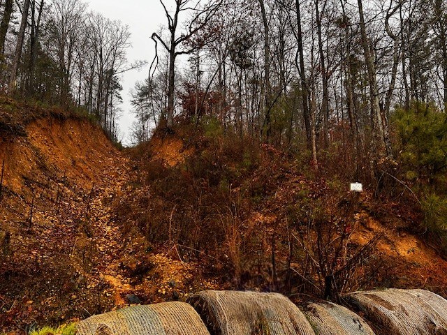 0 Talona Road Ellijay, GA 30536 - Photo 3 of 9 Easement from Talona Road