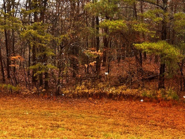 0 Talona Road Ellijay, GA 30536 - Photo 7 of 9