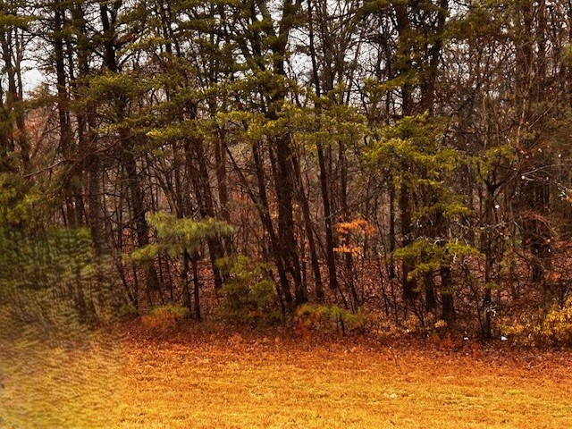 0 Talona Road Ellijay, GA 30536 - Photo 8 of 9