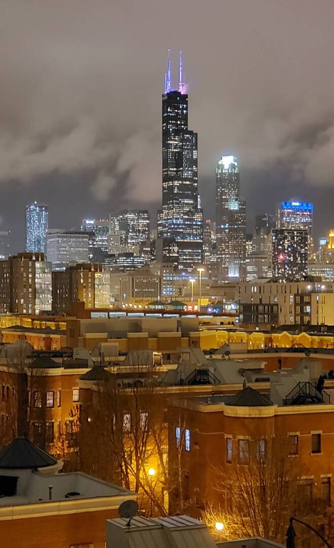 833 West 15th Place, Unit 606W Chicago, IL 60608 - Photo 39 of 47