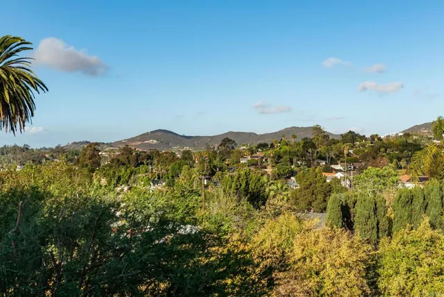 a view of a house with backyard and trees