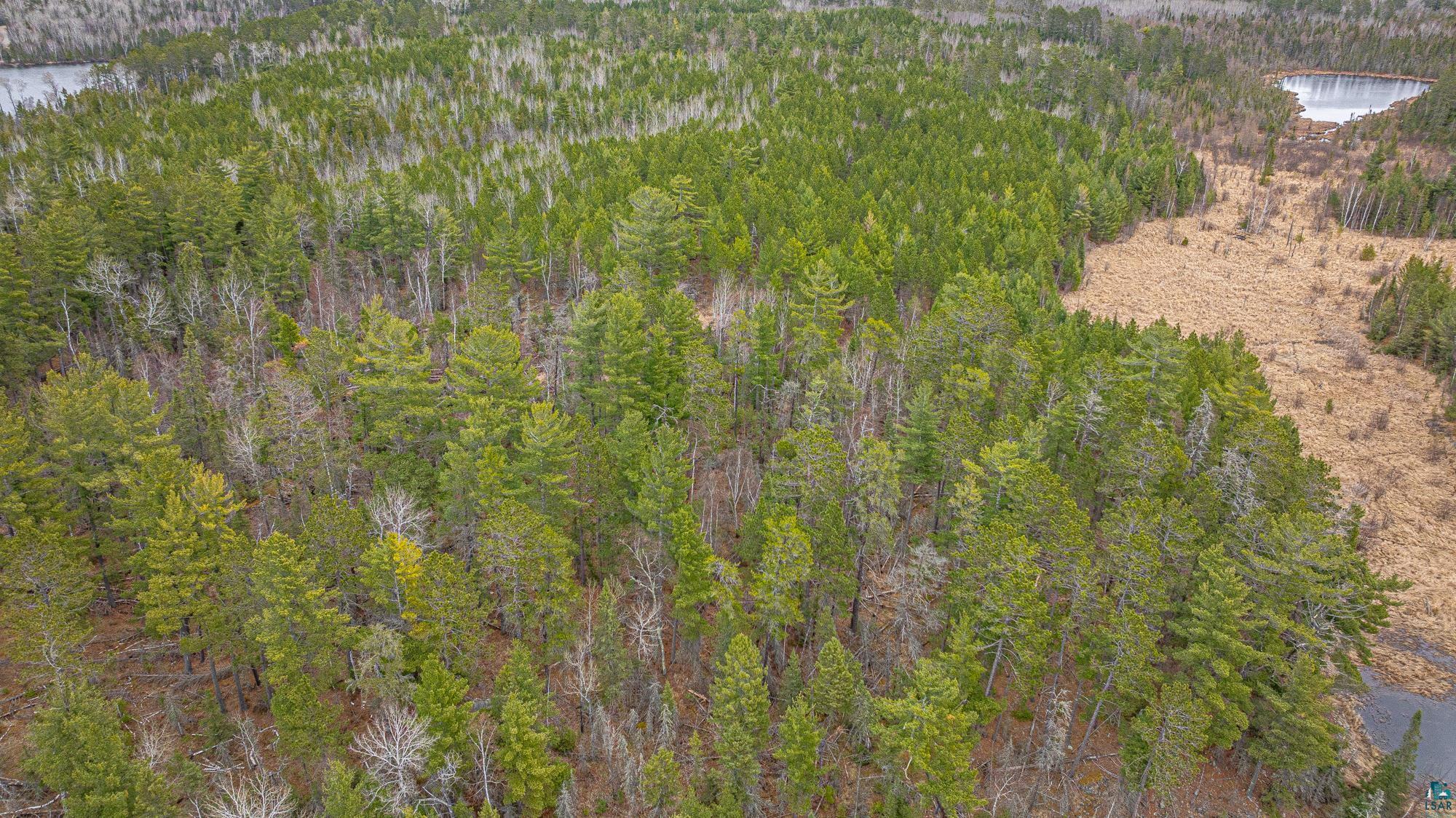 Tbd Lindbeck Road Ely, MN 55731 - Photo 23 of 44