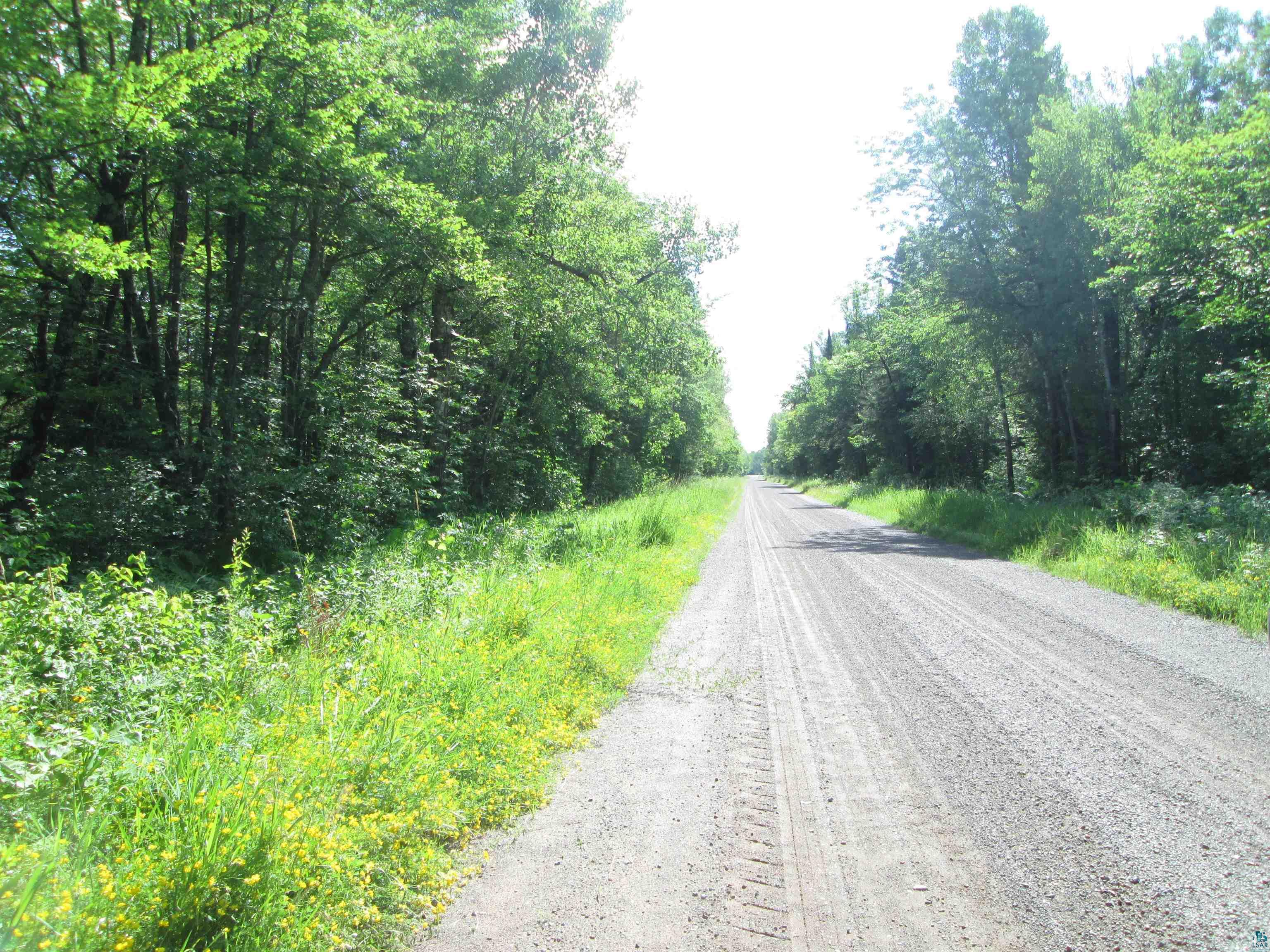 6810 NE Road Wright, MN 55798 - Photo 2 of 23 view of the road